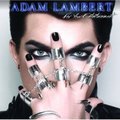 For Your Entertainment - Lambert Adam