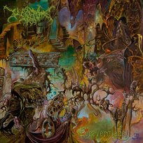 Foreverglade Worm