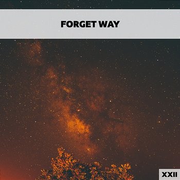 Forget Way XXII - Various Artists
