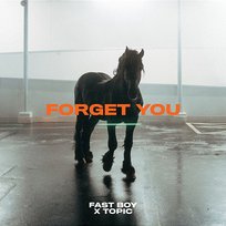 Forget You FAST BOY, Topic