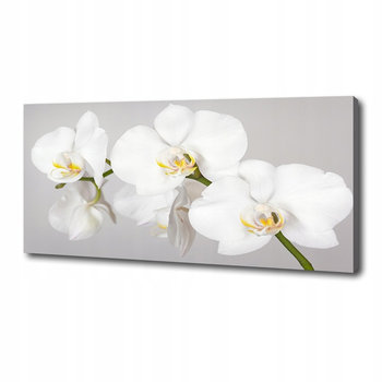 Foto obraz canvas na ścianę Orchidea 125x50 cm - Inny producent