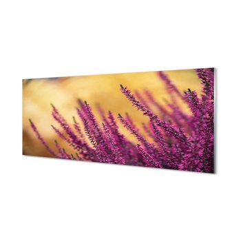 Foto panel kuchenny z grafiką + klej Kwiaty 125x50 cm - Tulup