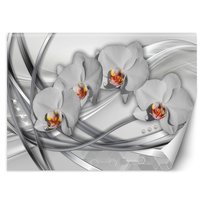 Fototapeta, Abstrakcyjne orchidee 150x105