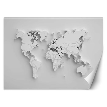 Fototapeta, Biała mapa świata 3D - 150x105 - Inny producent