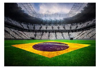 Fototapeta, Brazylijski stadion, 100x70 cm - DecoNest