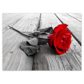 Fototapeta Czerwona róża na deskach, 254x184cm - www.ZeSmakiem.Com