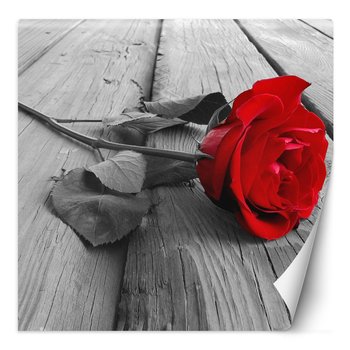 Fototapeta Czerwona róża na starych deskach 100x100 - Feeby