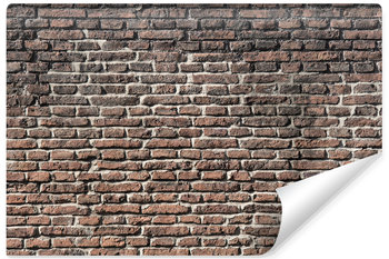 Fototapeta Do Biura CEGLANA Ściana Mur Efekt 3D Abstrakcja 270cm x 180cm - Muralo