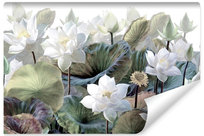 Fototapeta Do Jadalni Białe Kwiaty Lotosy Natura Rośliny Liście 300cm X 210cm