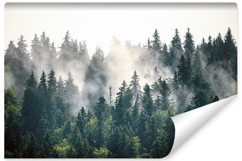 Fototapeta Do Jadalni LAS We Mgle Góry Pejzaż Natura Drzewa 180cm x 120cm - Muralo