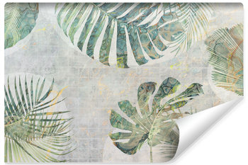 Fototapeta Do Salonu LIŚCIE Monstera Beton Abstrakcja 180cm x 120cm - Muralo