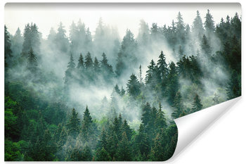 Fototapeta Do Sypialni LAS We Mgle Pejzaż Efekt 3D Natura Drzewa 90cm x 60cm - Muralo