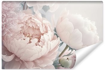 Fototapeta Do Sypialni PEONIE Kwiaty Efekt 3D Natura 270cm x 180cm - Muralo