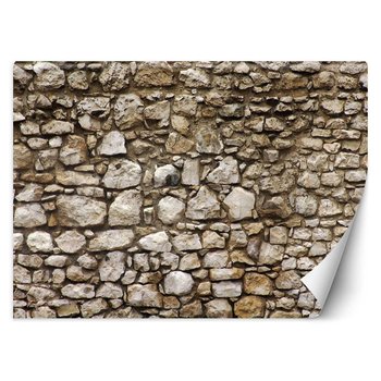 Fototapeta FEEBY Ściana z kamienia, 100x70 cm - Feeby