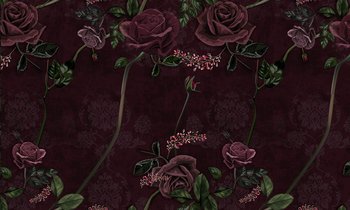 Fototapeta HOMEPRINT Bordowe róże 300x300 cm Vinyl Canvas - HOMEPRINT