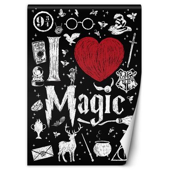 Fototapeta I love magic, Harry Potter- Dr.Monekers 100x140 - Feeby
