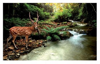 Fototapeta JELEŃ LAS DRZEWA Natura Salon Tapeta Na Flizelinie Do Sypialni Salonu Na Ścianę 254x184 - Consalnet