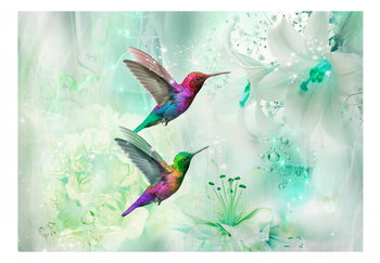 Fototapeta, Kolorowe kolibry (zielony), 400x280 cm - DecoNest