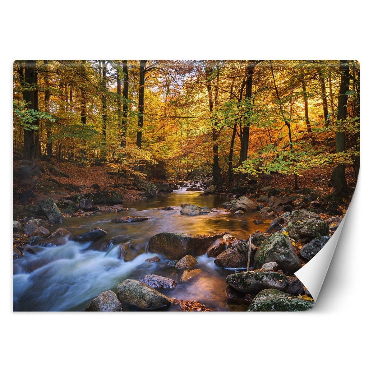 Fototapeta Le na Rzeczka 450x315 Feeby Sklep EMPIK COM fototapeta-le-na-rzeczka-450x315-feeby-sklep-empik-com