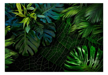 Fototapeta, Mroczna dżungla, 100x70 cm - DecoNest