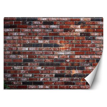 Fototapeta, Mur z czerwonej cegły 200x140 - Feeby