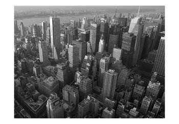 Fototapeta, Nowy Jork: wieżowce (widok z lotu ptaka), 350X270 - DecoNest