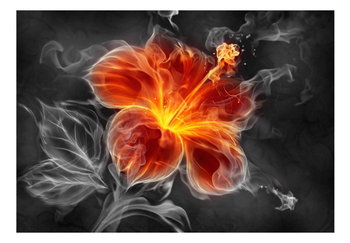 Fototapeta, Ognisty kwiat pośród dymu, 250x175 cm - DecoNest