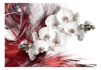 Fototapeta, Orchidea w czerwieni, 100x70 cm - DecoNest