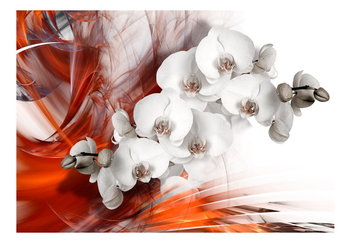 Fototapeta, Orchidea w ogniu II, 100x70 cm - DecoNest