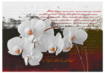 Fototapeta, Pamiętnik i orchidea, 100x70 cm - DecoNest