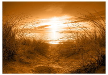 Fototapeta, plaża sepia, 100x70 cm - DecoNest