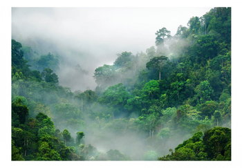 Fototapeta, Poranna mgła w lesie, 350x245 cm - DecoNest