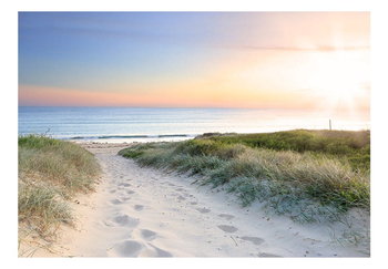 Fototapeta, Poranny spacer po plaży, 250x175 cm - DecoNest