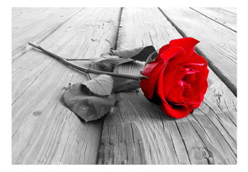 Fototapeta, Porzucona róża, 100x70 cm - DecoNest