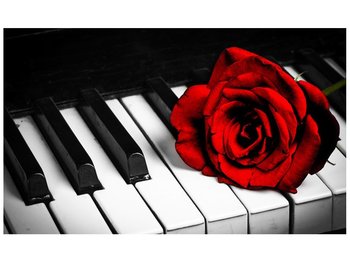 Fototapeta, Róża na fortepianie, 8 elementów, 412x248 cm - Oobrazy