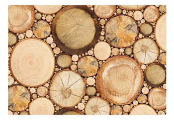 Fototapeta, Słoje drewna, 100x70 cm - DecoNest