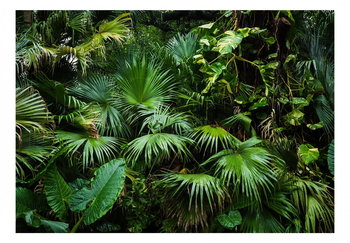 Fototapeta, Słoneczna dżungla, 100x70 cm - DecoNest