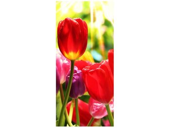 Fototapeta Słoneczne tulipany, 95x205 cm - Oobrazy