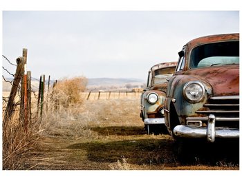 Fototapeta Stare samochody, 200x135 cm - Oobrazy