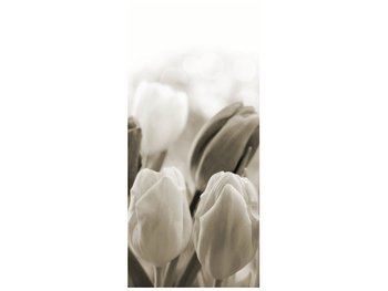 Fototapeta Tulipany, 95x205 cm - Oobrazy