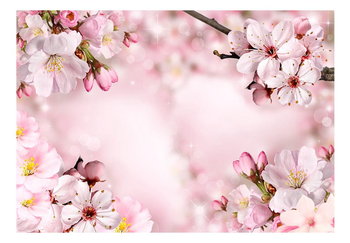Fototapeta, Wiosenny kwiat wiśni, 250x175 cm - DecoNest