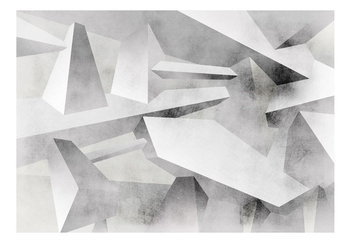 Fototapeta, Zamrożone skrzydła, 150x105 cm - DecoNest