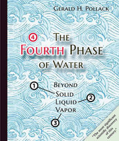 Fourth Phase of Water Pollack Gerald