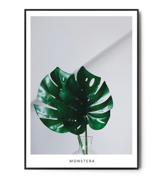 Fox Art Studio, Plakat Monstera,  wymiary 29,7x42 cm - FOX ART STUDIO