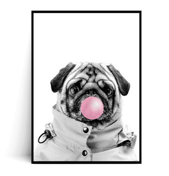 Fox Art Studio, Plakat Mops Bubble Gum Pink, wymiary 29,7x42 cm - FOX ART STUDIO