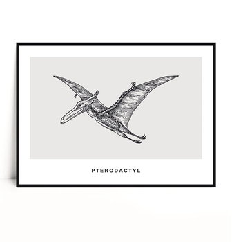 Fox Art Studio, Plakat Pterodactyl, wymiary 21x29,7 cm - FOX ART STUDIO