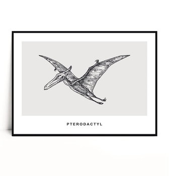 Fox Art Studio, Plakat Pterodactyl, wymiary 50x70 cm - FOX ART STUDIO