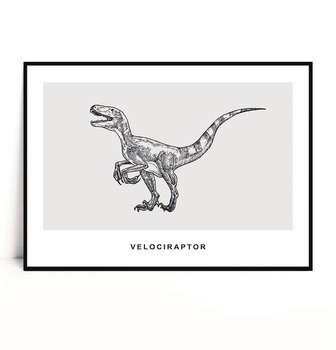 Fox Art Studio, Plakat Velociraptor, wymiary 30x40 cm - FOX ART STUDIO