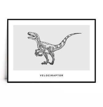 Fox Art Studio, Plakat Velociraptor, wymiary 40x50 cm - FOX ART STUDIO