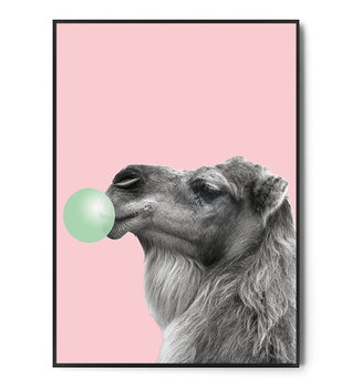 Fox Art Studio, Plakat Wielbłąd, Bubble gum, wymiary 40x50 cm - FOX ART STUDIO